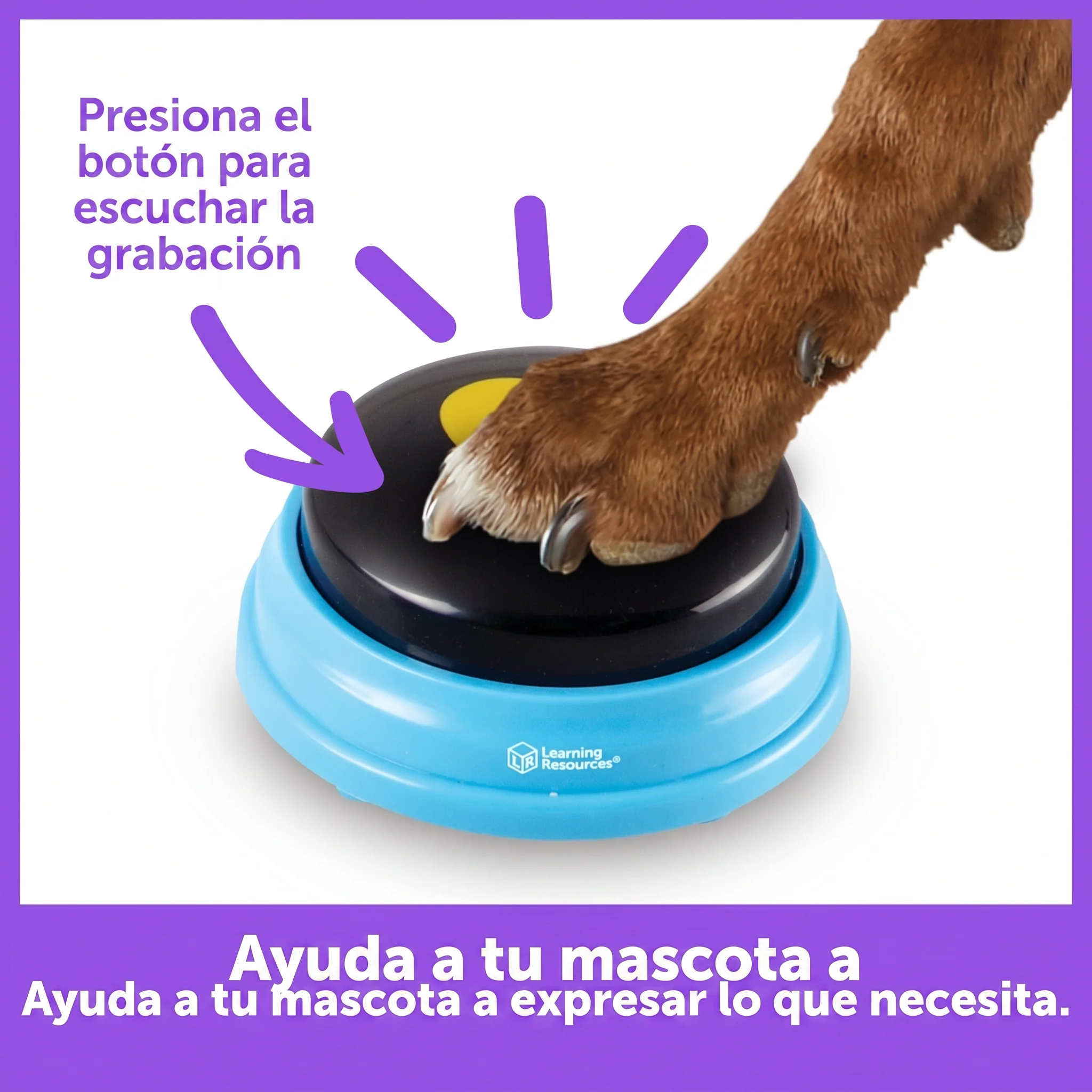 Imagen del producto 6