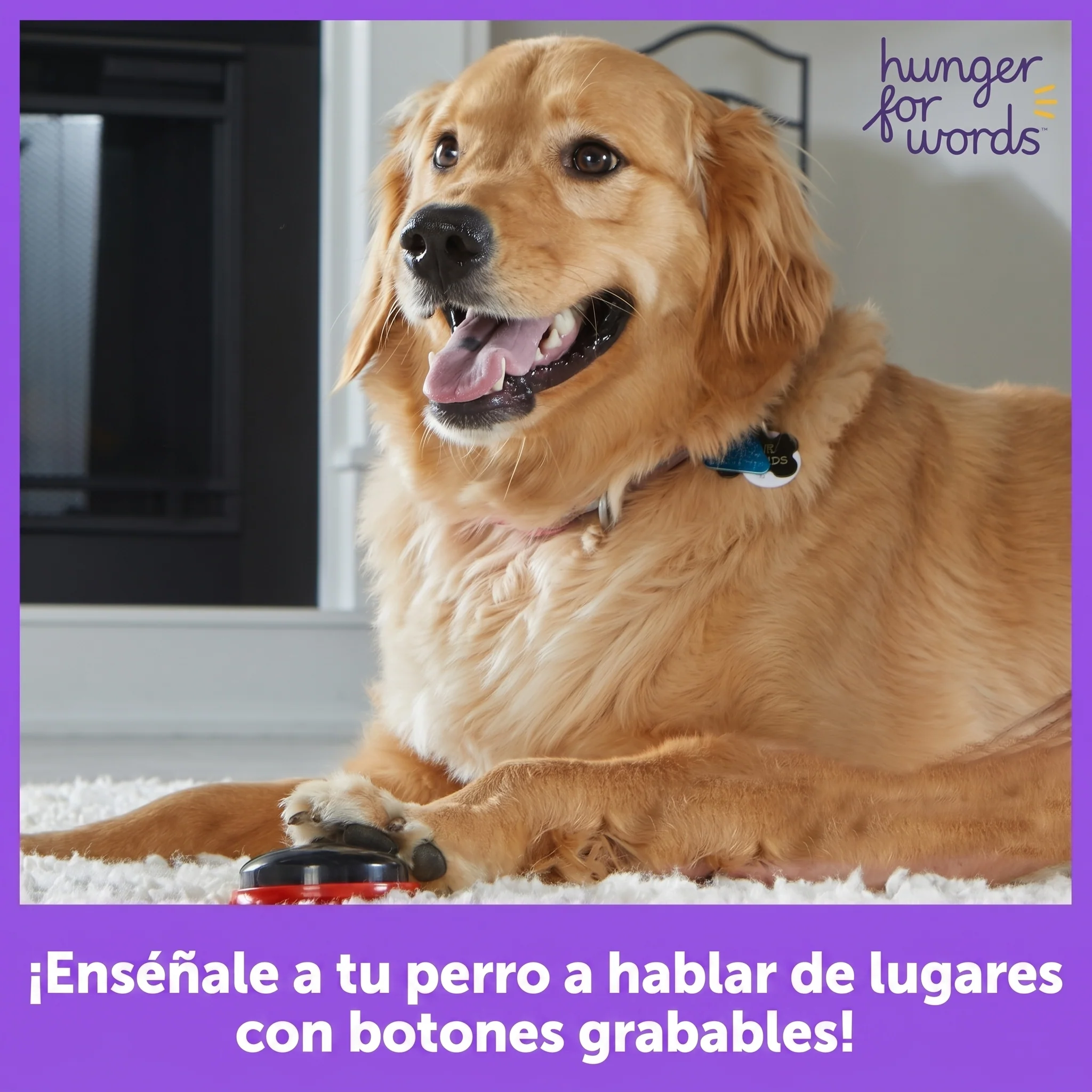 Imagen del producto 3