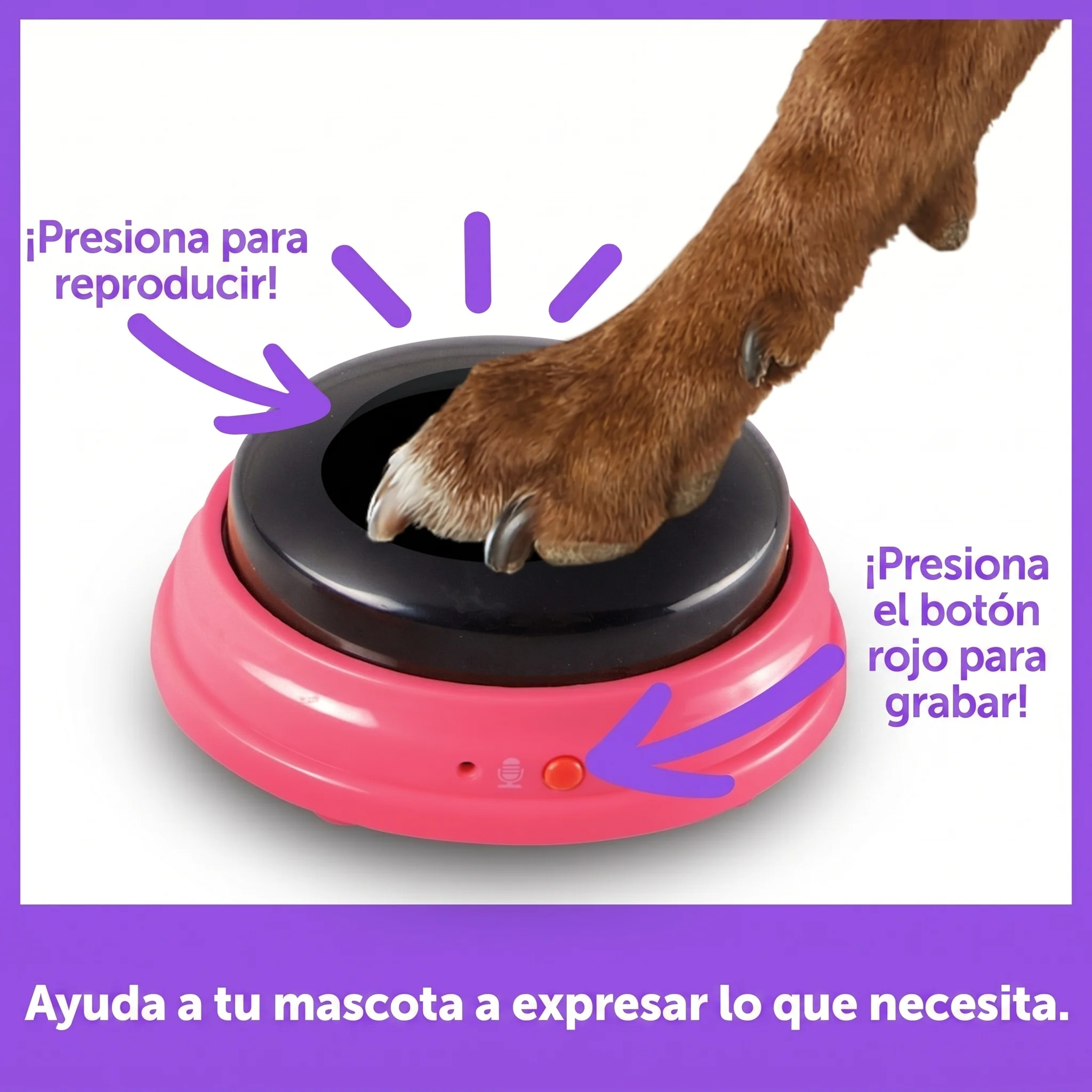 Imagen del producto 5