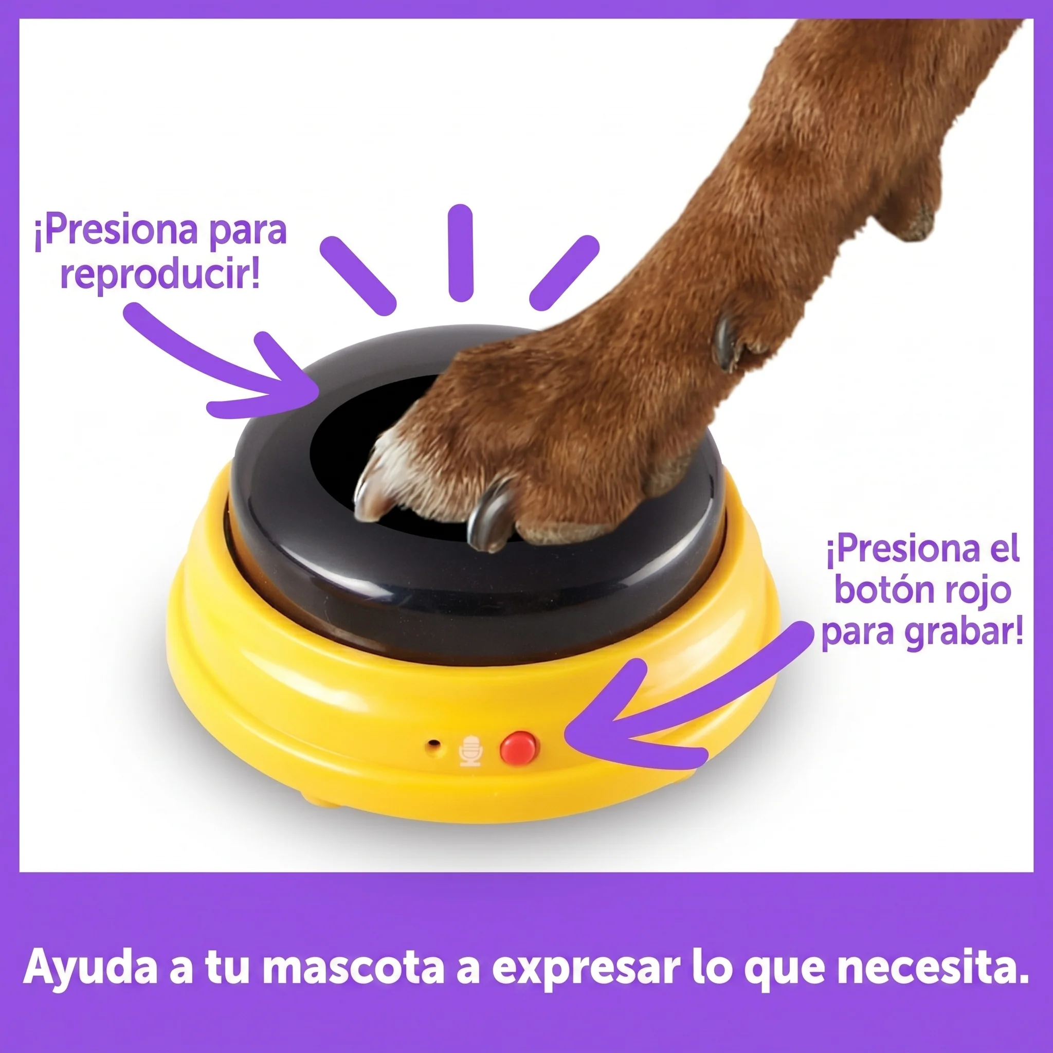 Imagen del producto 5