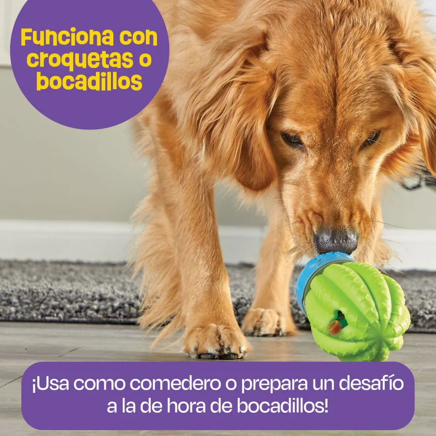 Imagen del producto 6