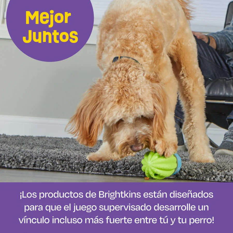 Imagen del producto 8