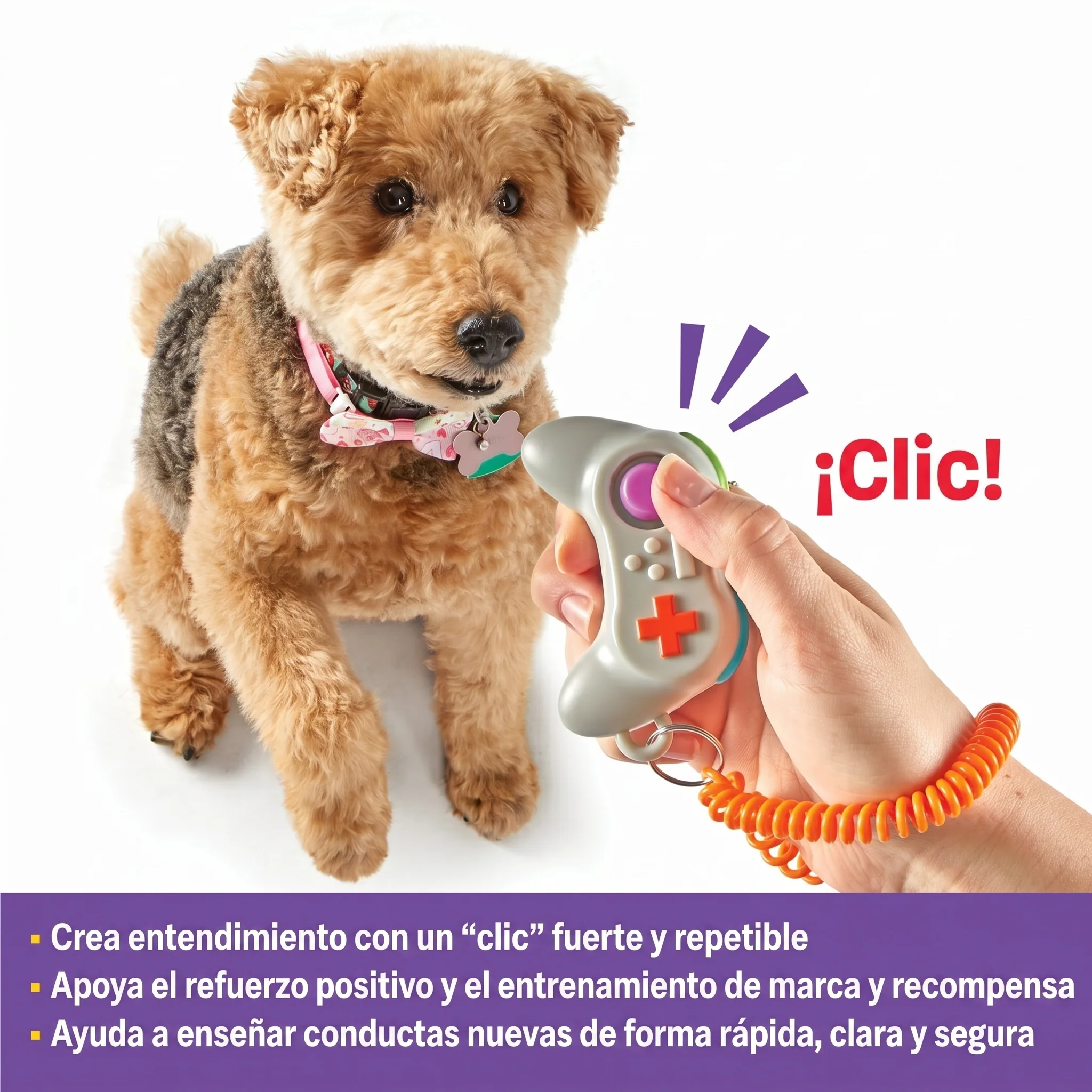 Imagen del producto 3