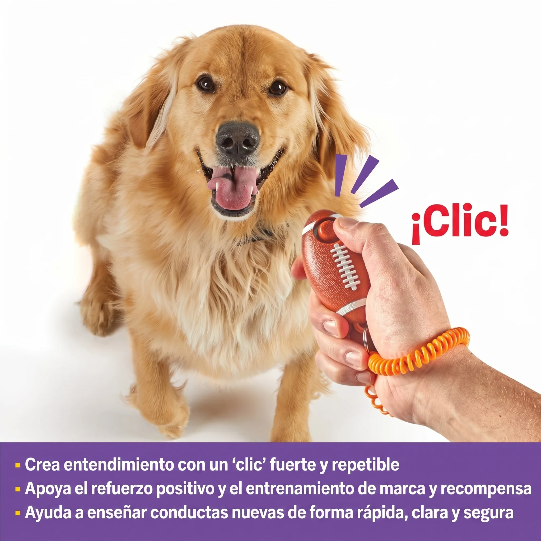 Imagen del producto 6