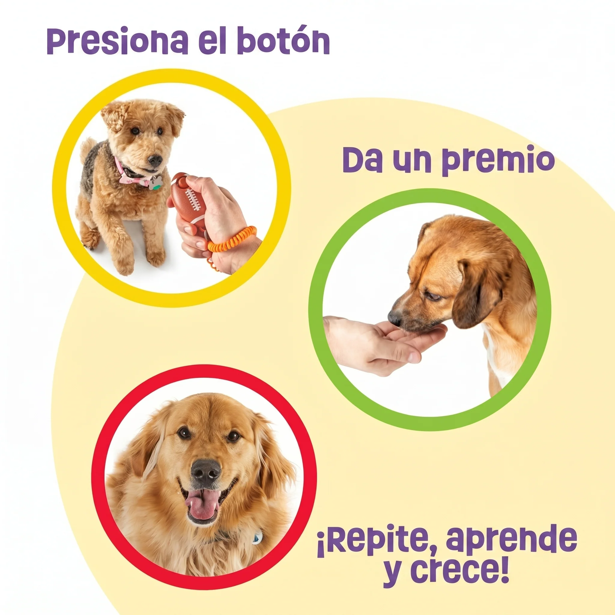 Imagen del producto 8