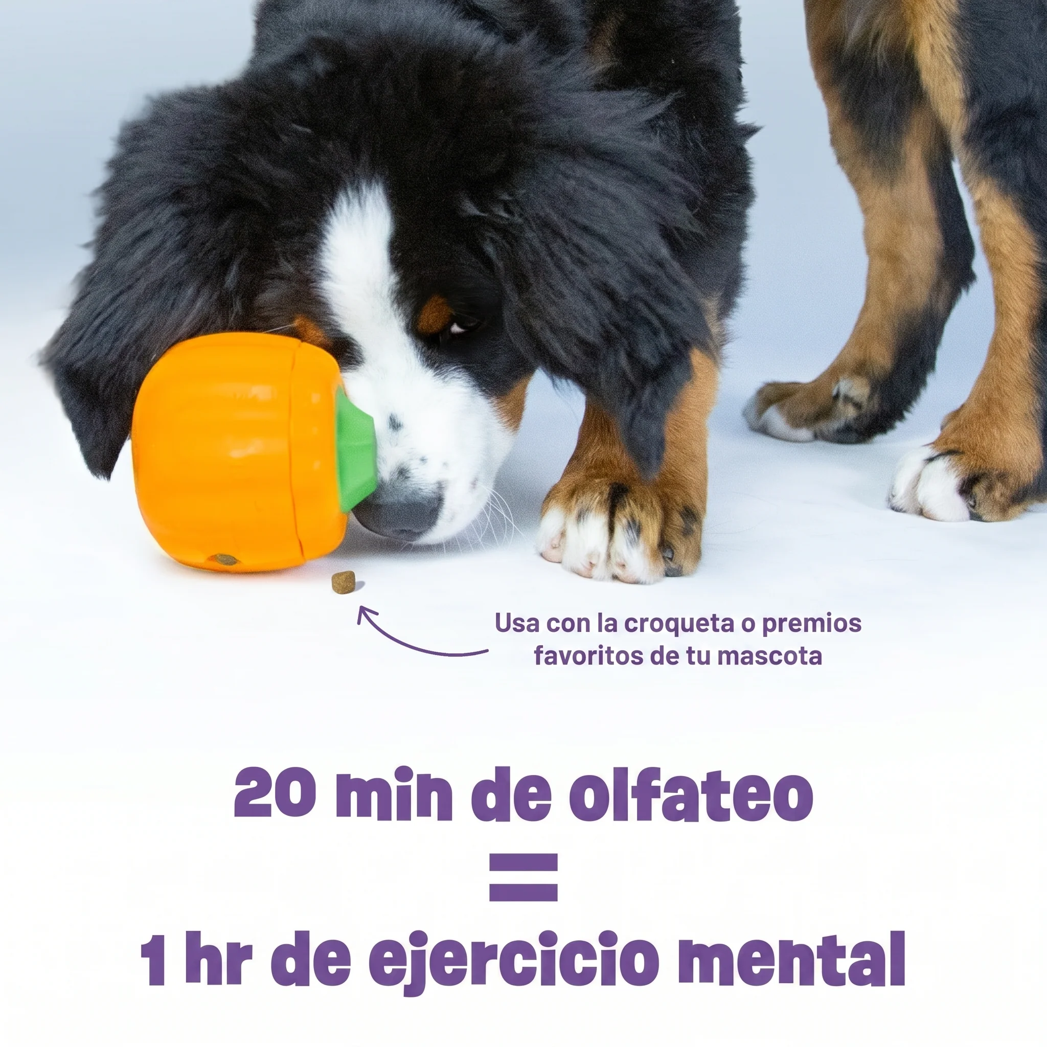 Imagen del producto 2