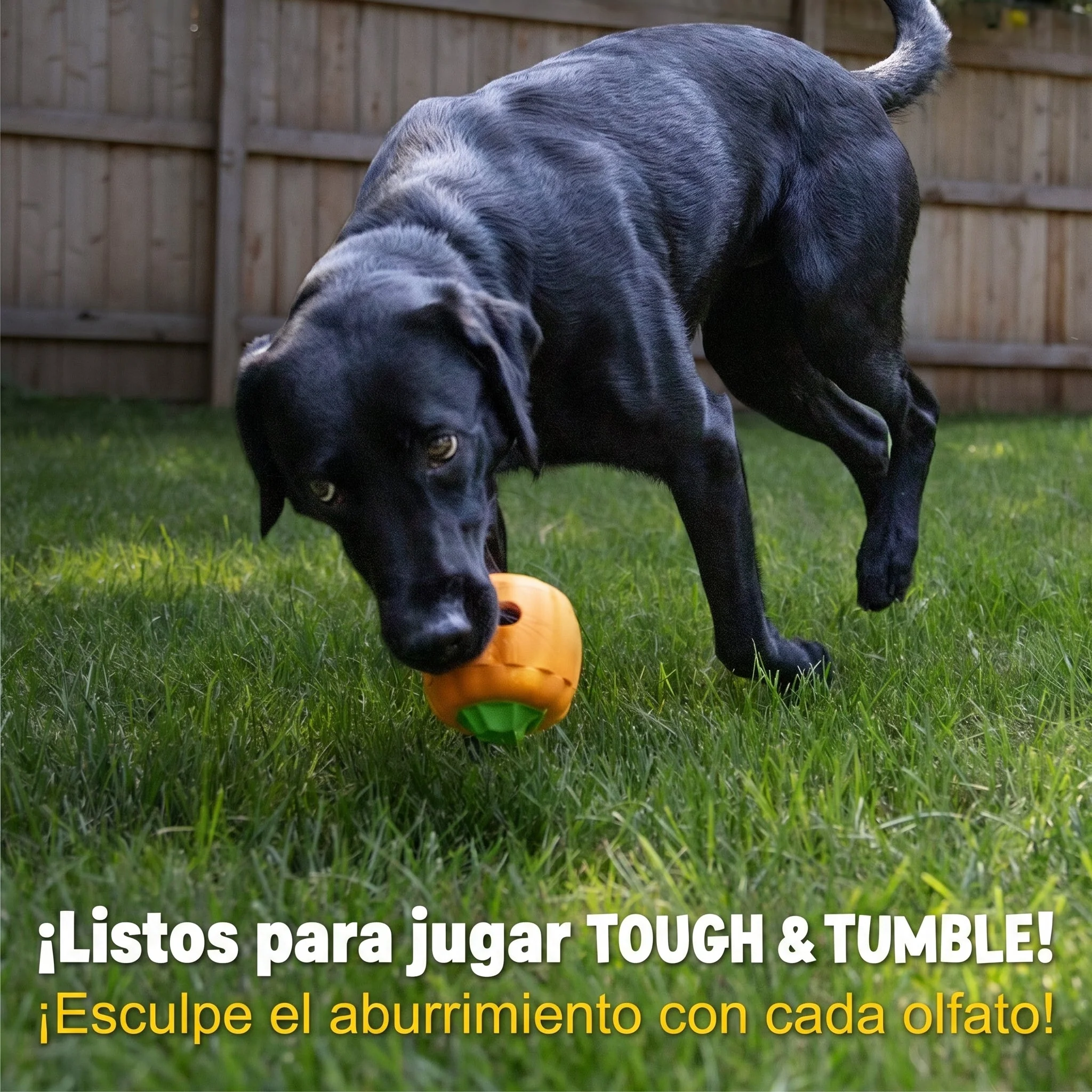 Imagen del producto 4