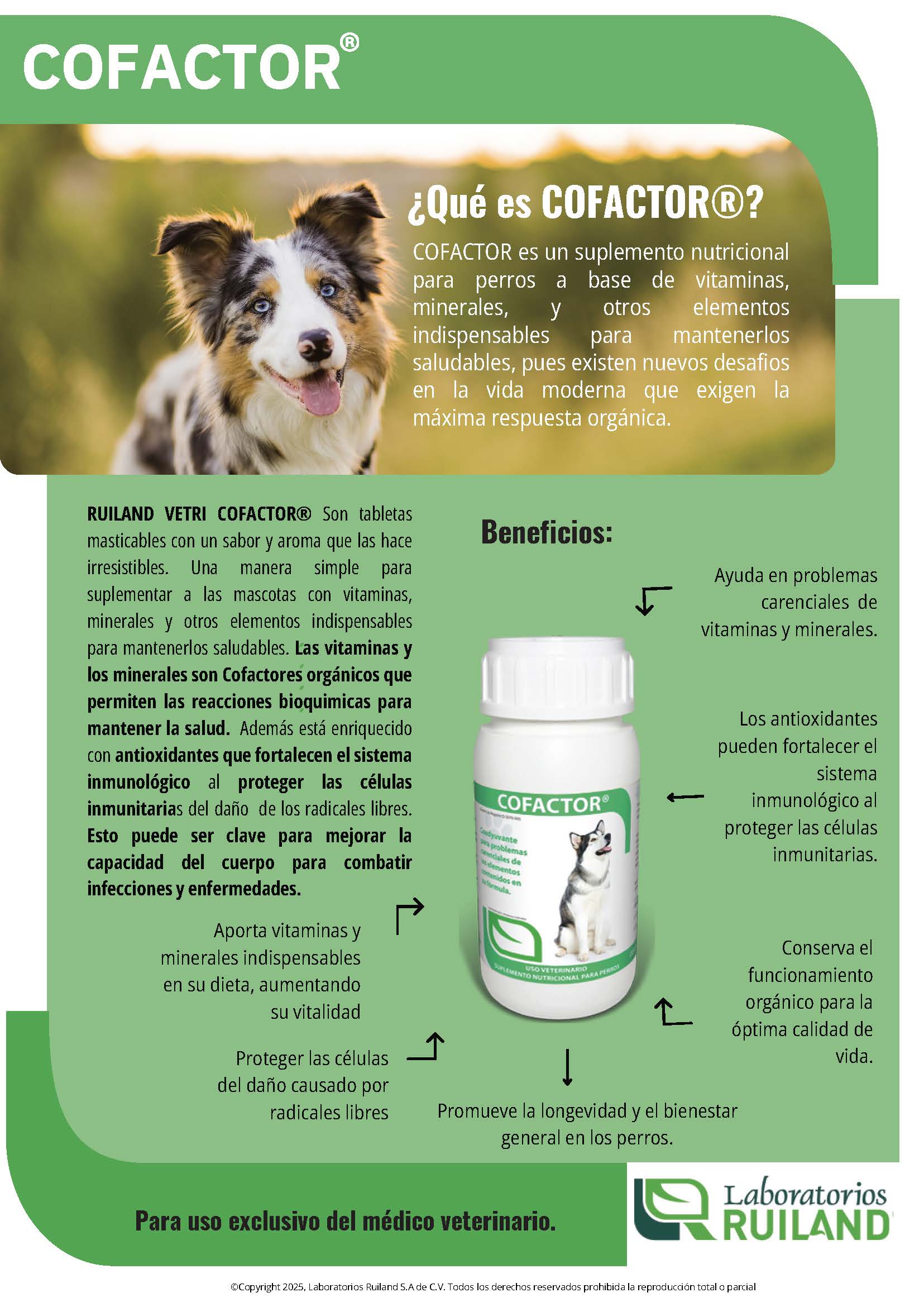 Imagen del producto 2