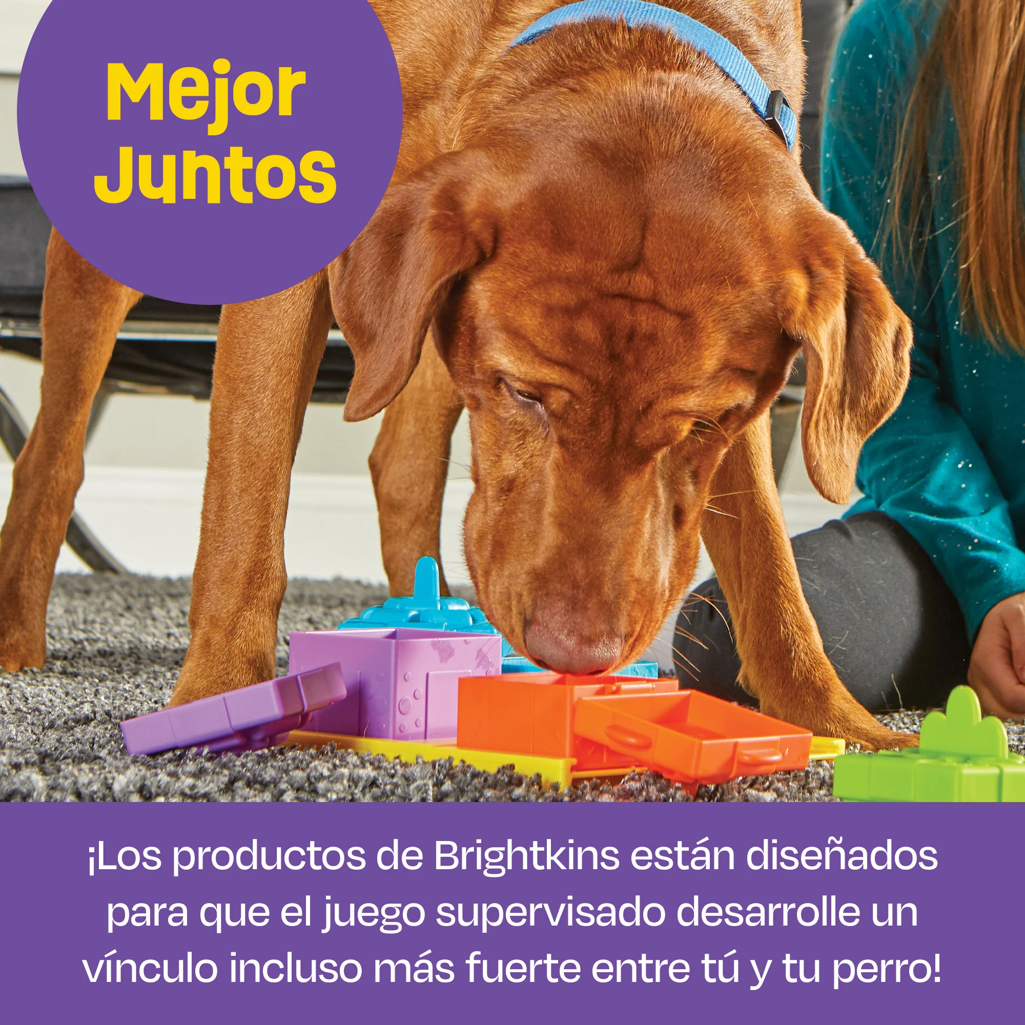 Imagen del producto 7