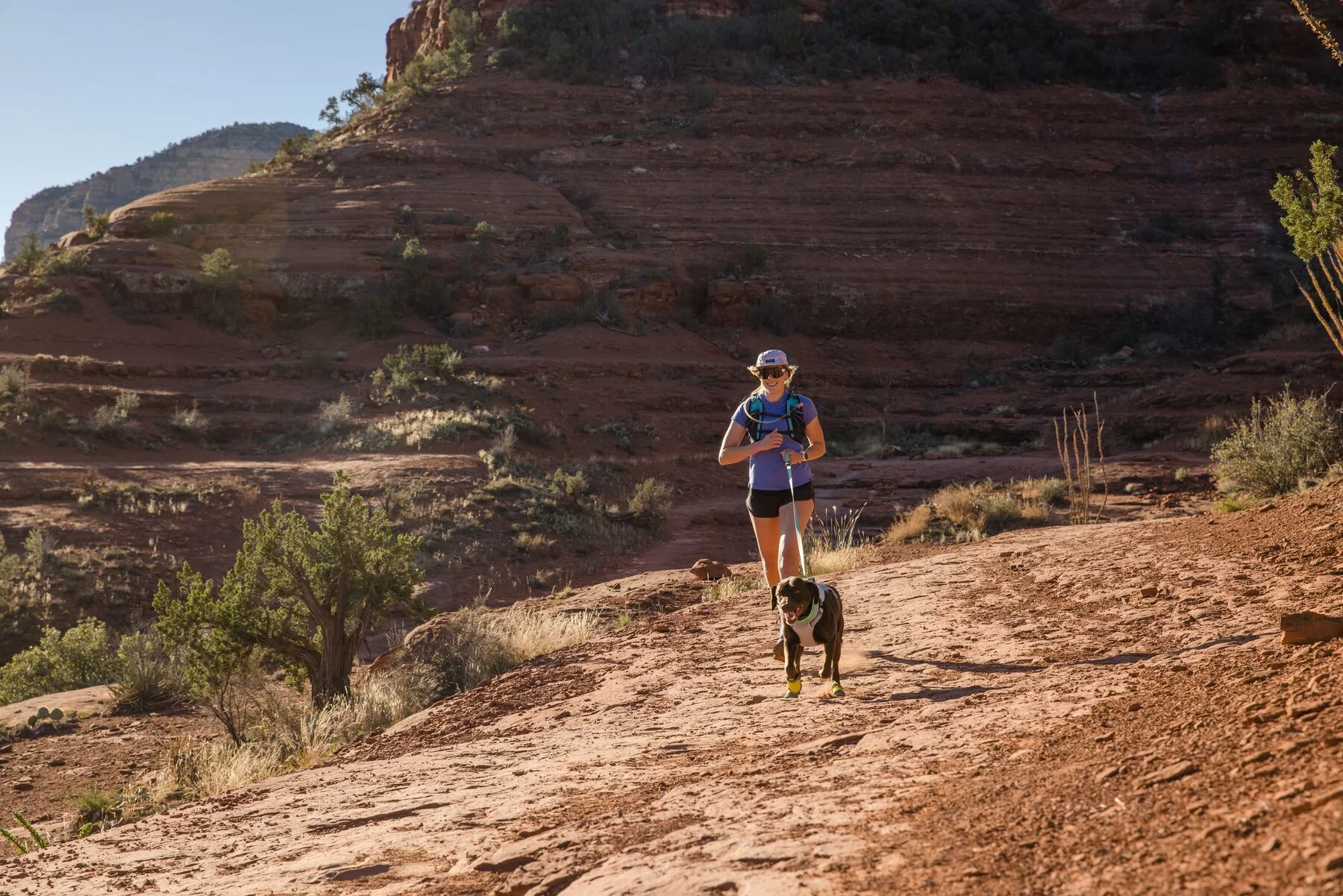 Imagen del producto 41