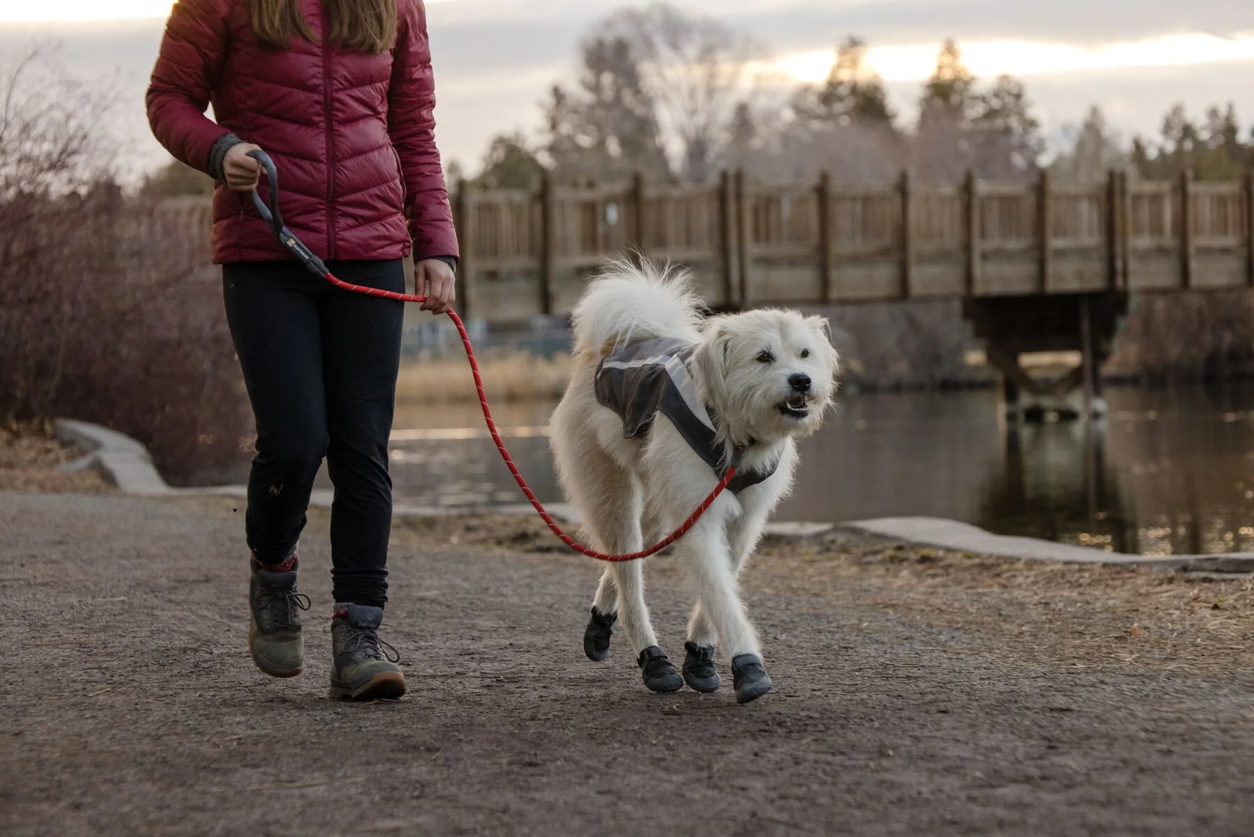 Imagen del producto 57