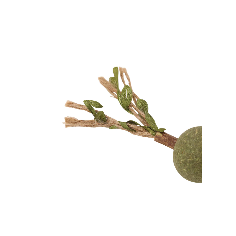 Imagen del producto 4