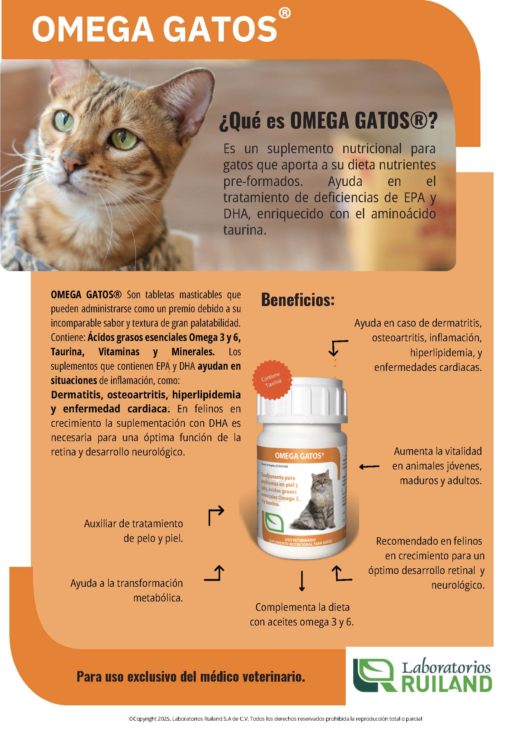 Imagen del producto 2