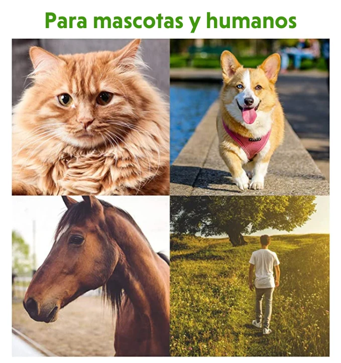 Imagen del producto 7