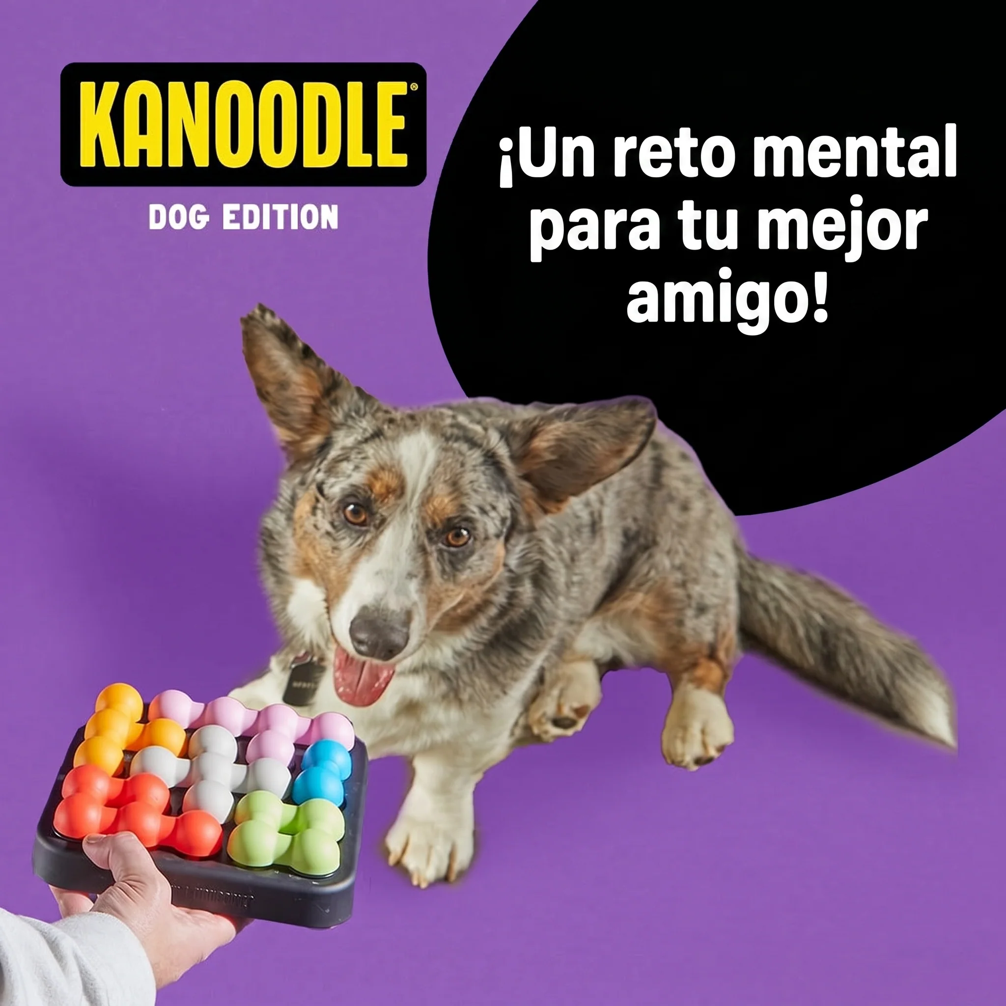 Imagen del producto 2
