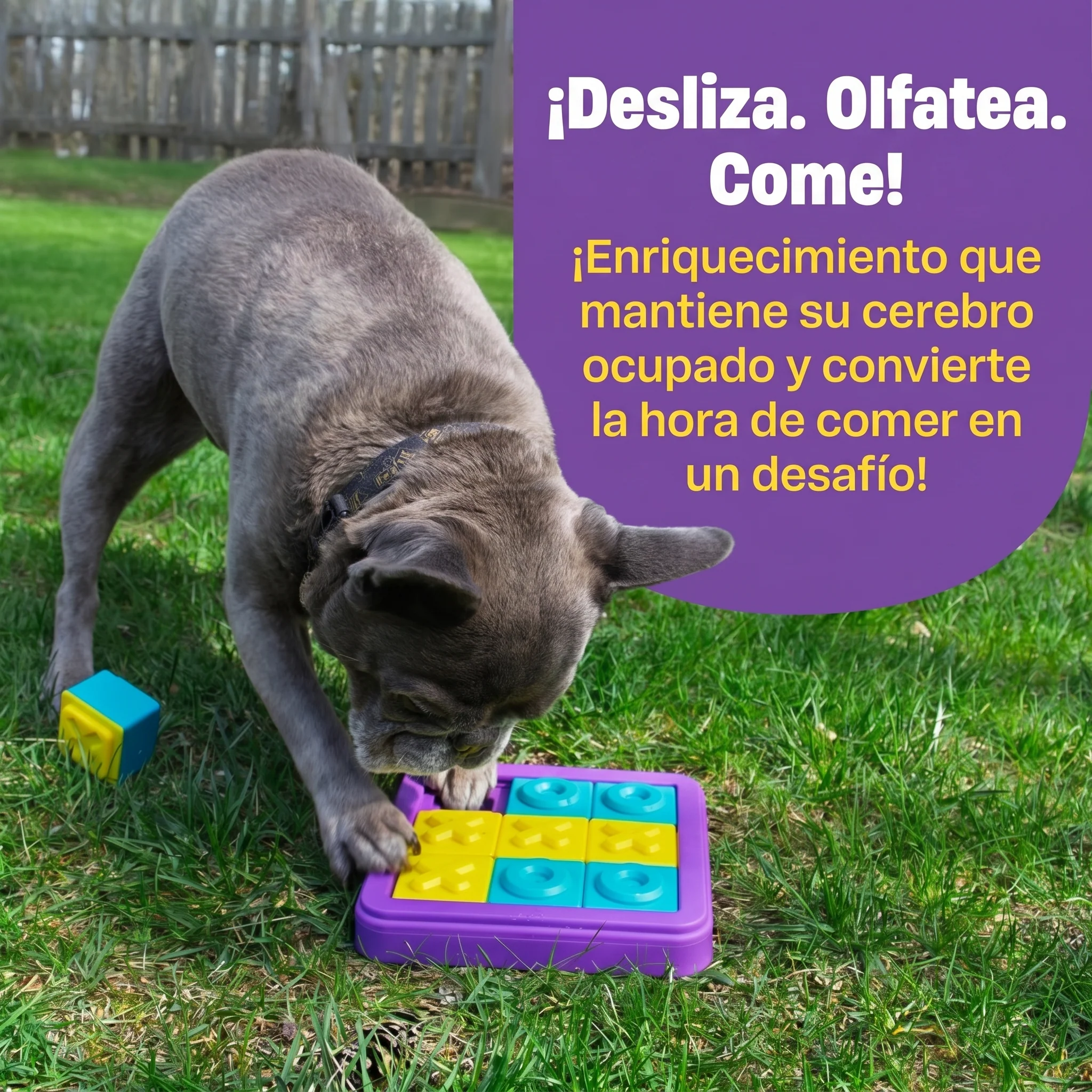 Imagen del producto 3