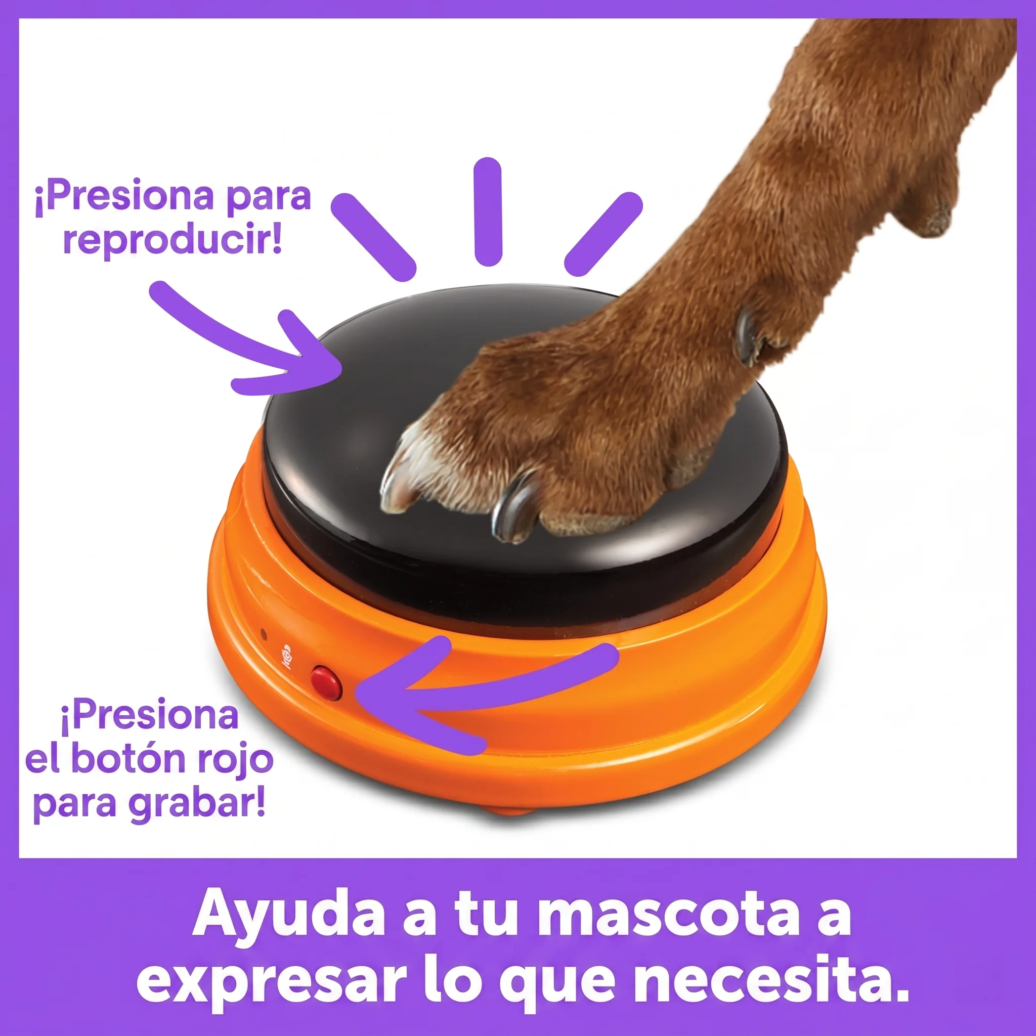 Imagen del producto 4