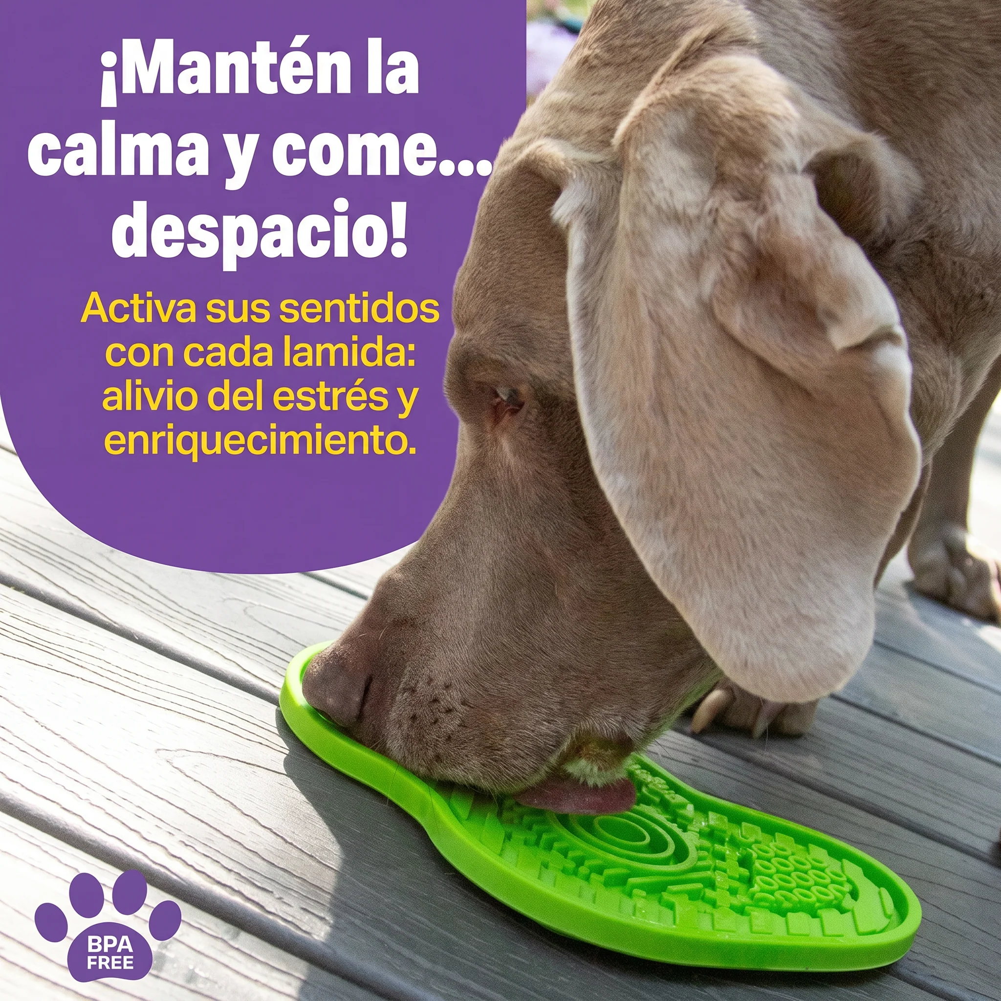 Imagen del producto 3