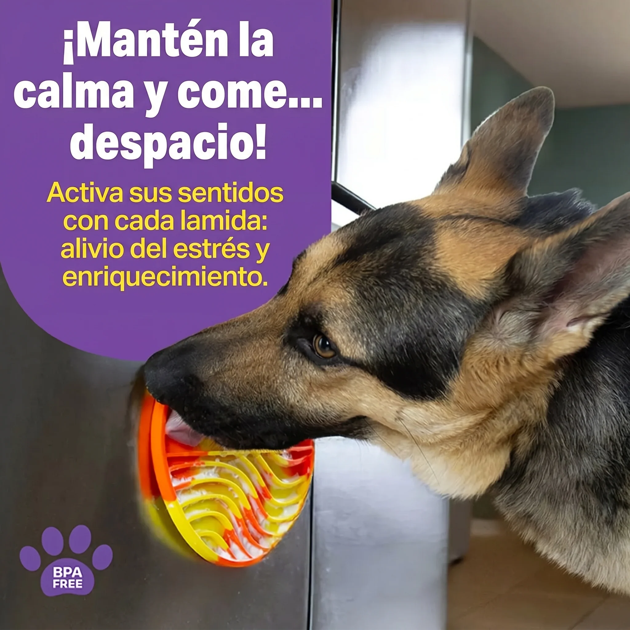 Imagen del producto 3