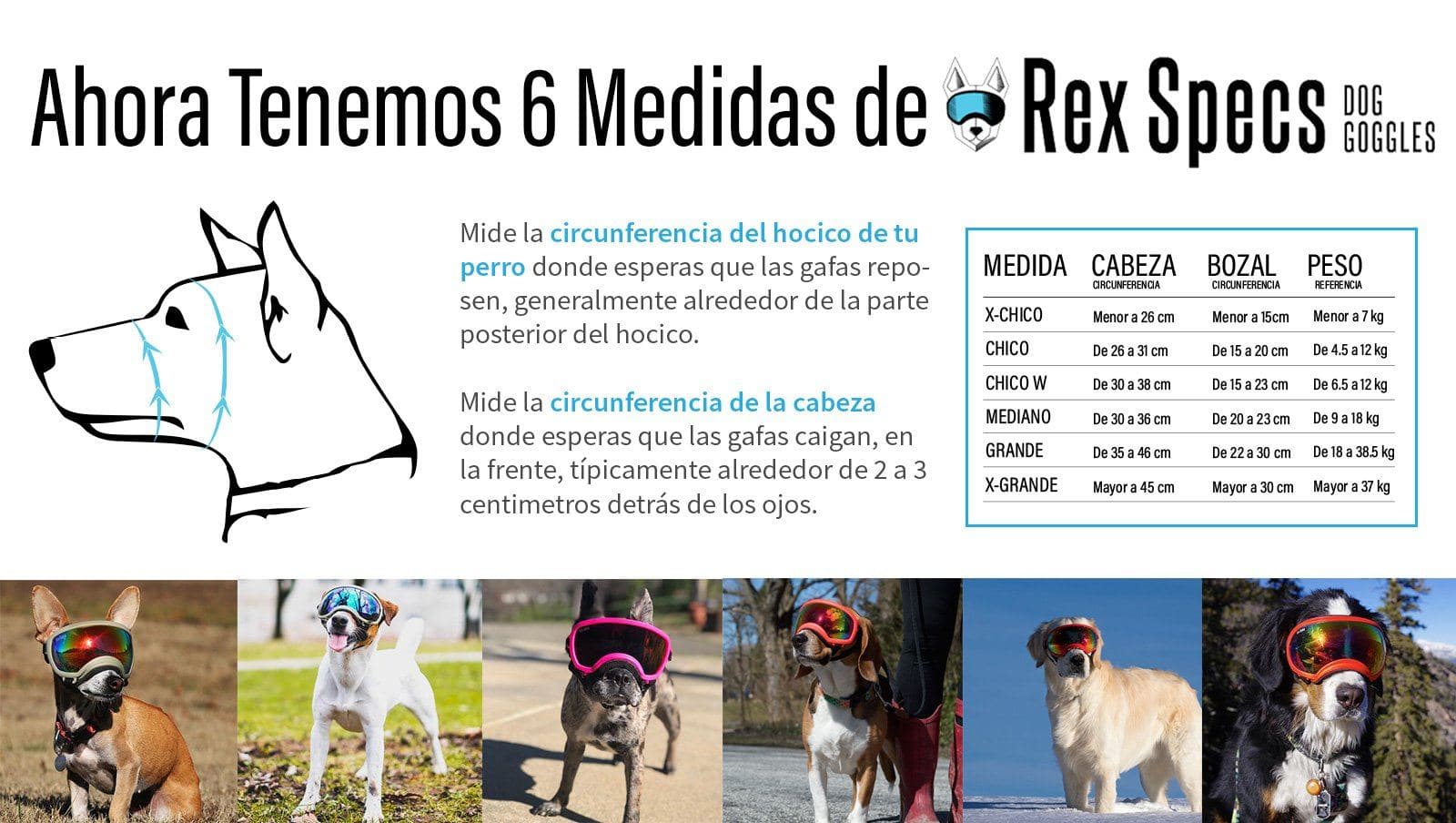 Imagen del producto 2